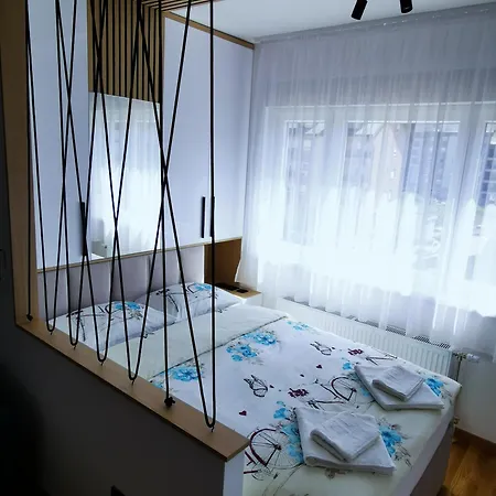 Shine - Borik * Banja Luka